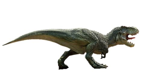 Vastatosaurus Rex Dinosaur Wiki Fandom Powered By Wikia