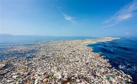 study finds  floating island  plastic debris   pacific