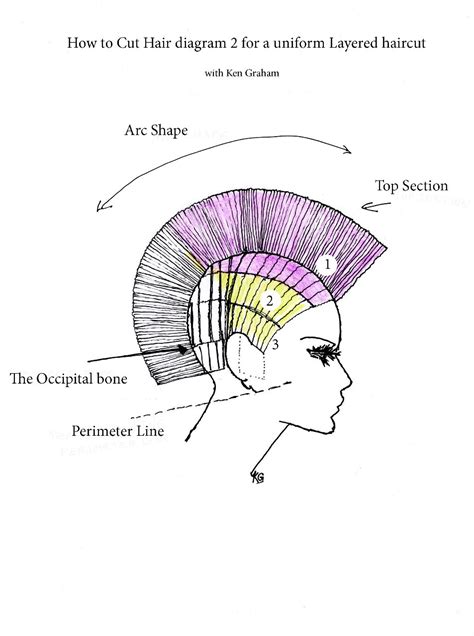 cut hair  layers diagram stay pretty pinterest layering cosmetology  haircuts