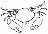Mewarnai Krabbe Kepiting Hewan Laut Sketsa Crab Ausdrucken Krabben Crabs Malvorlagen Cool2bkids Kualitas sketch template