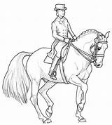 Horse Ausmalbilder Pferde Dressur Dressage Pferd Caballo Printable Skizze Reiterin Jinete Steigendes Malvorlagen Zeichnen Kinder Colorare Drawings Animali Hunde Cavallo sketch template