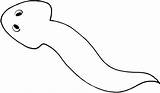 Flatworm Planarian Lineart sketch template