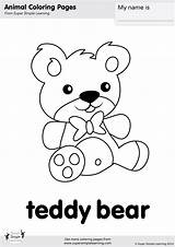 Bear Teddy Coloring Simple Super sketch template