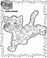 Jaguar Color Coloring Popular sketch template