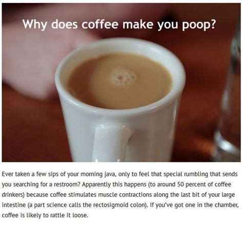 Science Has Answered 17 Questions You Re Embarrassed To