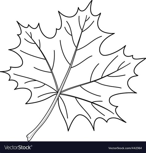 mykinglistcom fall leaves coloring pages leaf coloring page