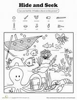 Seek Worksheets Hidden Hide Ocean Printable Preschool Grade Kids Coloring Kindergarten Find Worksheet Activities Printables Pages Animals Objects First Summer sketch template