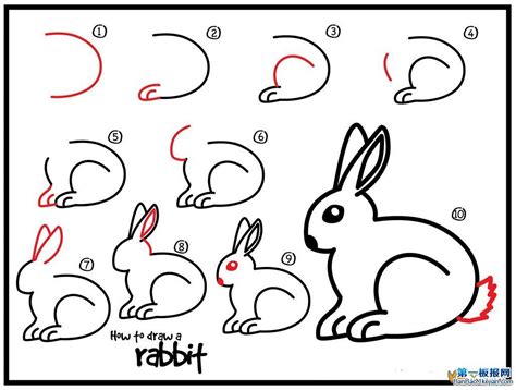 hoe teken je een konijn  stappen