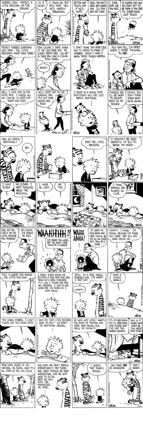 Best Calvin And Hobbes Stories