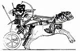 Chariot War Horse Dran Clipart Assyrian  Clipground sketch template