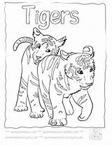 Tiger Coloring Pages Baby Cute Tigers Lsu Kids Printable Sheets Colouring Mother Color Animals Cub Cubs Footprints Sand Print Colour sketch template