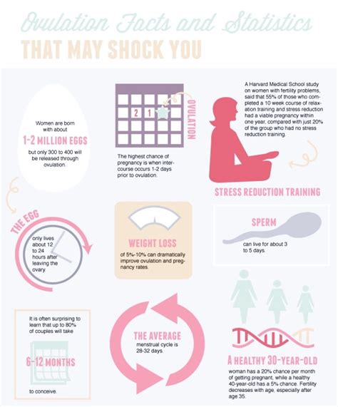 How To Know You Are Ovulating 7 Signs Of Ovulation