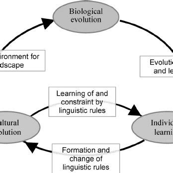 evolutionary linguistics  evolutionary economics