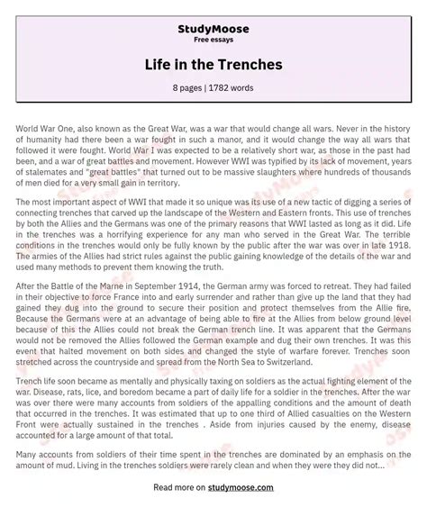 life   trenches  essay