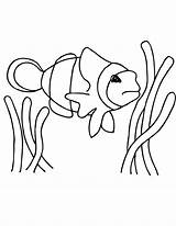 Clownfish Clipart Fish Clown Coloring Printable Clip Pages Cliparts Fishing Library Wikiclipart Icon Line sketch template