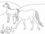 Colorat Cal Planse Paarden Caluti Kleurplaat Desene Animale Vulpe Natura Copilul Kleurplaten Plansa Paard sketch template