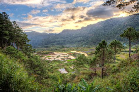 wondering  sagadas rice terraces mountain provinces