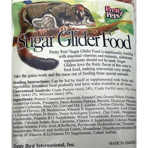 sugar glider foods   reviews top picks pet keen