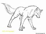 Wolf Coloring Pages Angry Realistic Print Printable Anime Wolves Drawing Template Howling Cool Animal Cartoon Color Animals Drawings Pack Face sketch template