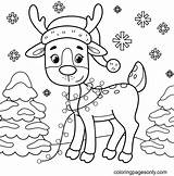 Reindeer Rentier Ausmalbilder Malvorlagen Rudolph Ausdrucken Renntier Rentiere Supercoloring sketch template