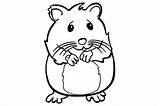 Hamster Hamsters Clipartmag sketch template