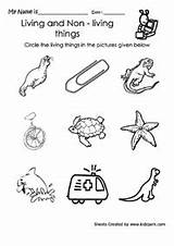 Science Living Things Non Worksheets Worksheet Preschool Kindergarten Grade Printable Kids Sheet Activities Vs Kinder School Center Experiments Save Fun sketch template