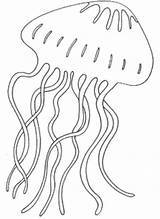 Jellyfish Qualle Ausmalbilder Mandala Ausdrucken Malvorlage Schablonen Giant Colorare Zeichnen Malvorlagen Quallen Malen Templates Drus Ausmalen Sommer Fensterbild Vorlagen Kostenlos sketch template