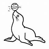 Seal Coloring Clipart Clip Pages Colouring Vector Ball Kids Cliparts Nose Cartoon Cute Sea Printable Line Transparent Vectorized Animals Public sketch template