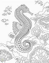 Coloring Sea Seahorse Pages Under Adult Zentangle Printable Therapy Mandalas Pdf Ocean Adults Horse Detailed Mandala Creatures Para Dibujos Print sketch template