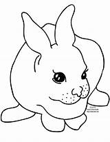 Rabbit Coloring Pages Clipart Bunny Printable Cute Rabbits Template Baby Outline Kids Color Bunnies Line Cliparts Craft Face Animal Colouring sketch template