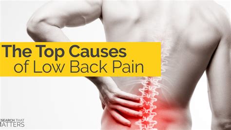 The Top Causes Of Low Back Pain Optimal Wellness Chiropractic
