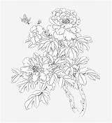 Coloring Pages Peony sketch template