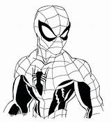 Spiderman Spider Line Coloring Pages Drawing Color Baby Man Web Clipartmag Print Getcolorings Lineart Getdrawings Blaze Printables sketch template