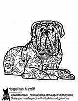 Pages Bullmastiff Template sketch template