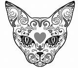 Skull Sugar Cat Coloring Pages Sugaring Getdrawings Printable Getcolorings Color Boutique sketch template