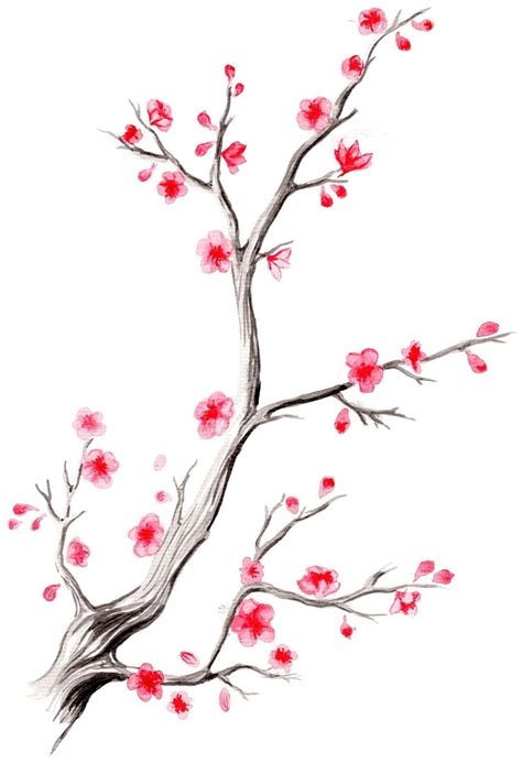 Cherry Blossom Branch Cherry Blossom Art Blossoms Art
