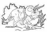 Triceratops Coloring Dinosaur Three Pages Horned Adults Kids sketch template