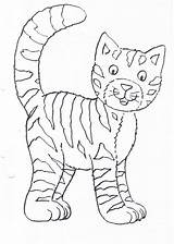 Katze Malvorlage sketch template