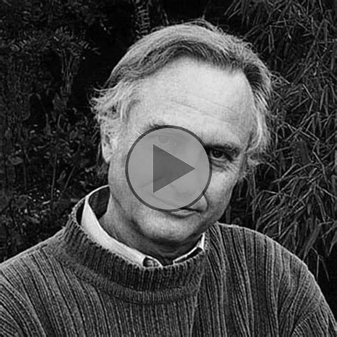 sex death and the meaning of life richard dawkins documentary