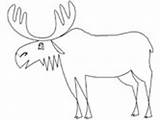 Moose Coloring Pages Drawing Simple Animals Ws sketch template