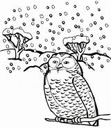 Winter Coloring Pages Owl Animals Birds Snowy Animal Snow Color Printable Cartoon Popular Library Clipart Getcolorings sketch template
