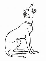 Dog Barking Coloring Pages Drawing Bark Dogs Kids Printable Getdrawings Template Drawings sketch template
