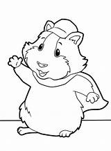 Fofos Maravilla Linny Hamster Coloringsun sketch template