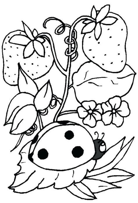 ladybug printable coloring pages  getdrawings