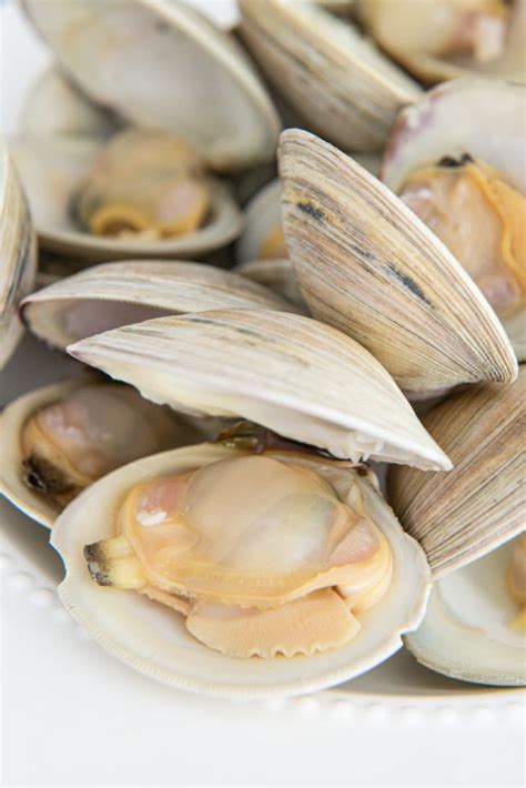 clean clams  purge   sand fifteen spatulas