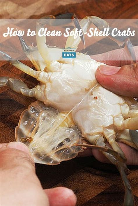 pin  soft shell crab