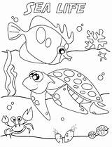 Coloring Ocean Pages Sea Life Animals Under Printable Color Animal Print Seascape Colouring Kids Ecosystem Adults Waves Drawing Marine Getcolorings sketch template