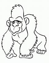Gorilla Gorilas Orangutan Ausmalbilder Gorila Gorillas Gorillaz Ausmalbild Pintar Coloringbay Clipartmag Webstockreview Letzte sketch template