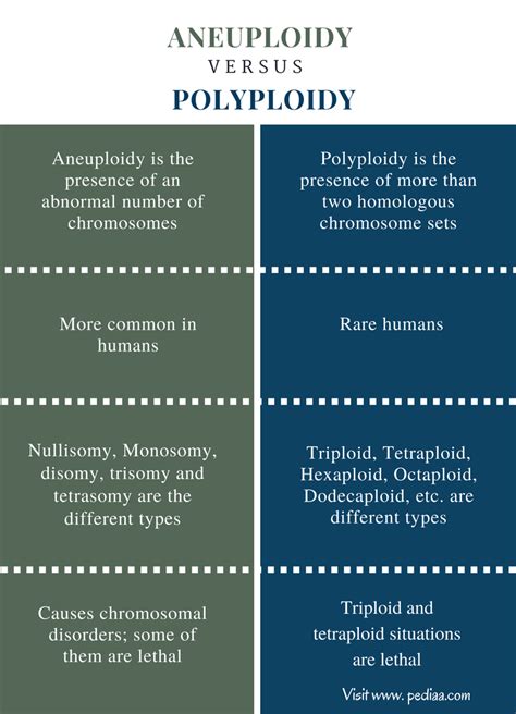 difference between aneuploidy and polyploidy definition