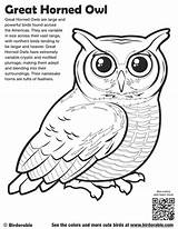 Coloring Owl Pages Great Horned Printable Color Birdorable Getcolorings Sheets Authentic Print Coloringbay sketch template